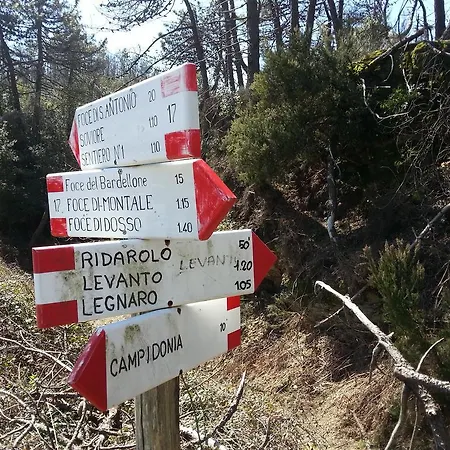 Casa Lea *